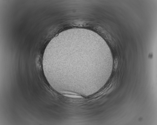 X0000116811202201001081348