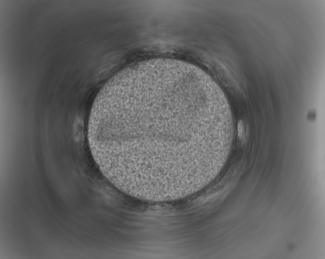 X0000116811203201001081348