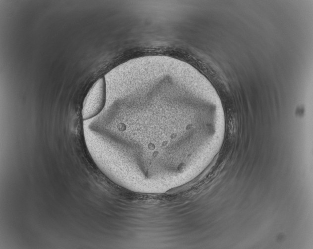 X0000116811204201001081348