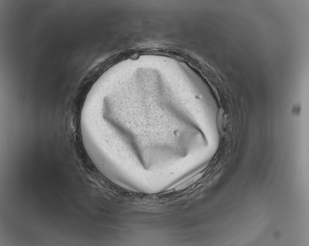 X0000116811206201001081348