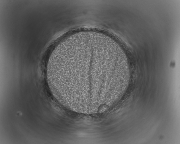 X0000116811207201001081348