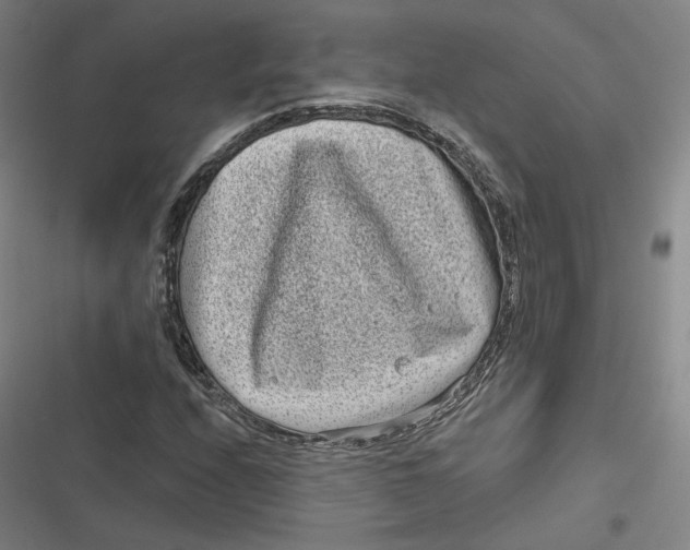 X0000116811208201001081348