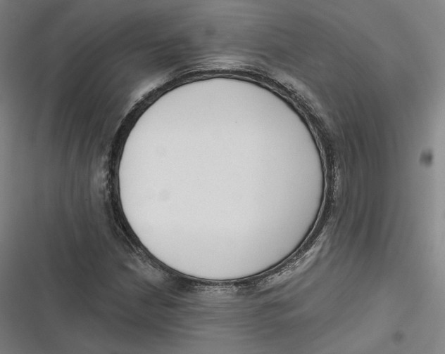 X0000116811210201001081348