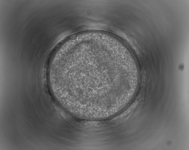 X0000116811211201001081348