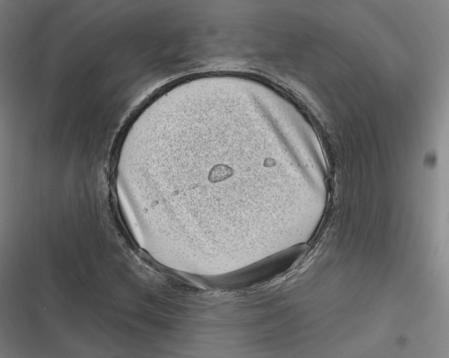 X0000116811212201001081348