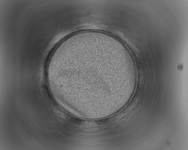 X0000116811215201001081348