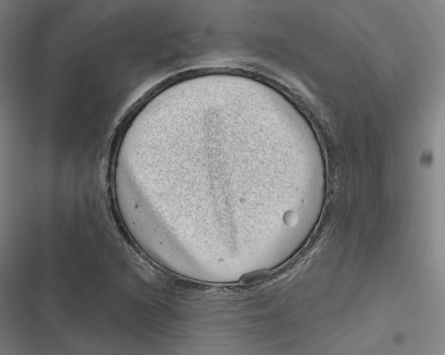 X0000116811216201001081348