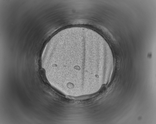 X0000116811217201001081348