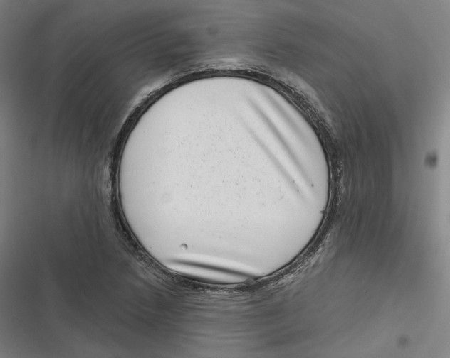 X0000116811218201001081348