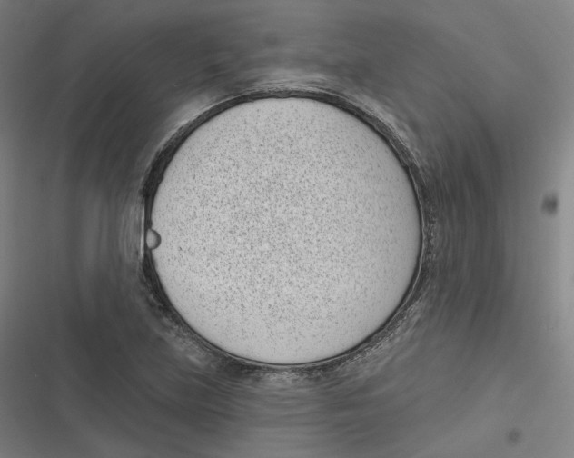 X0000116811219201001081348