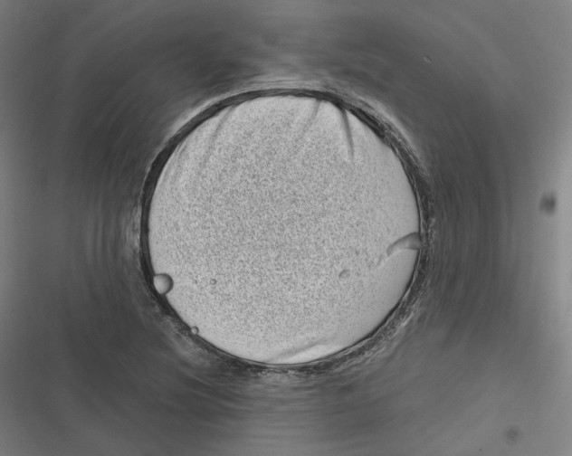 X0000116811220201001081348