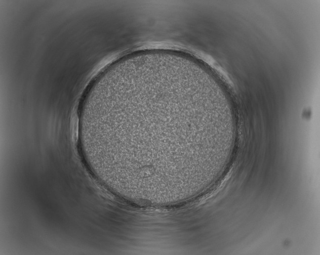 X0000116811221201001081348