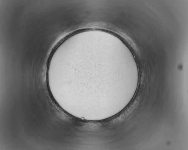 X0000116811224201001081348