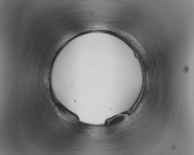 X0000116811225201001081348