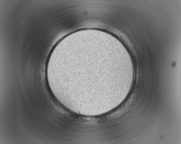 X0000116811226201001081348