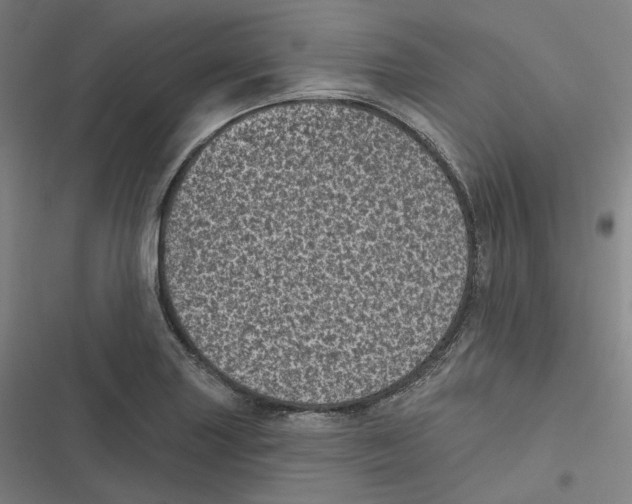 X0000116811227201001081348