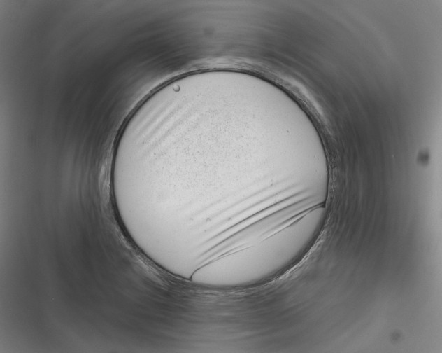 X0000116811228201001081348