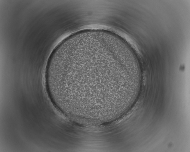 X0000116811229201001081348