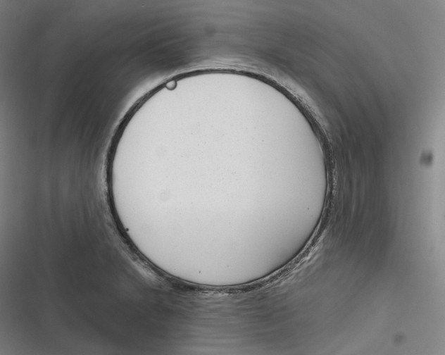 X0000116811230201001081348