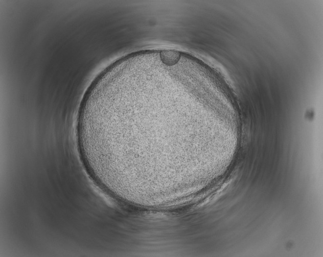 X0000116811231201001081348