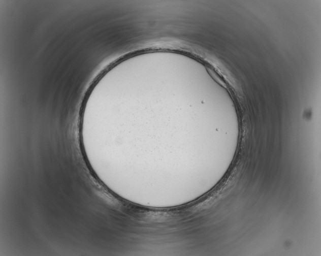 X0000116811232201001081348