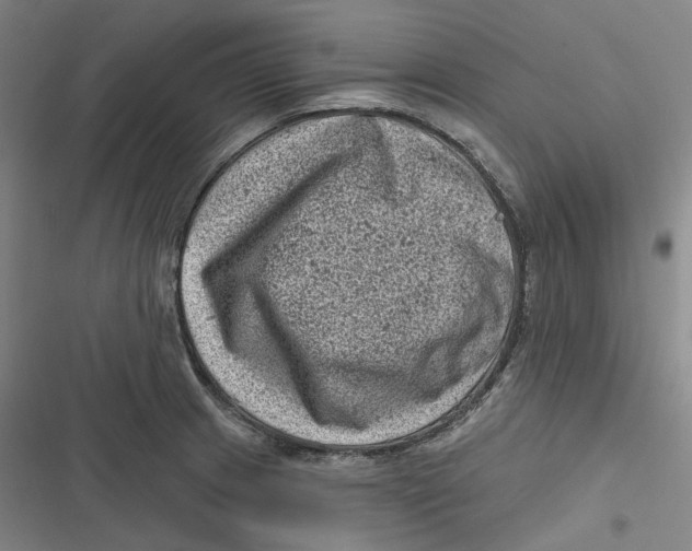 X0000116811233201001081348