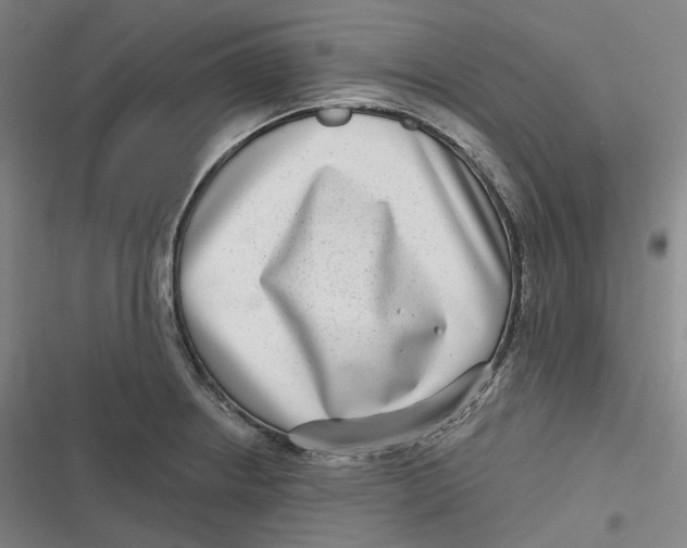 X0000116811234201001081348