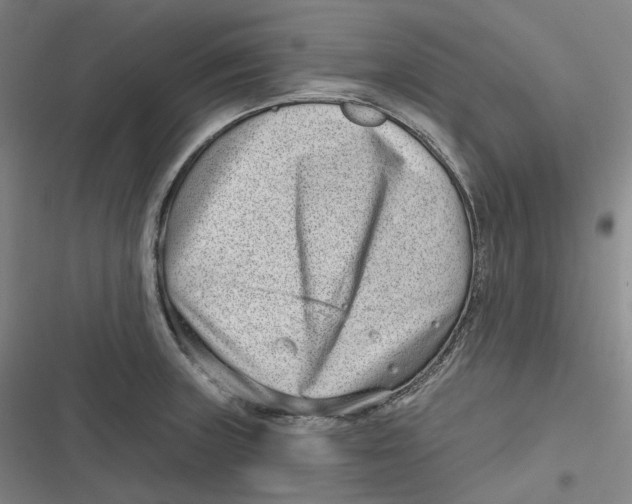 X0000116811235201001081348