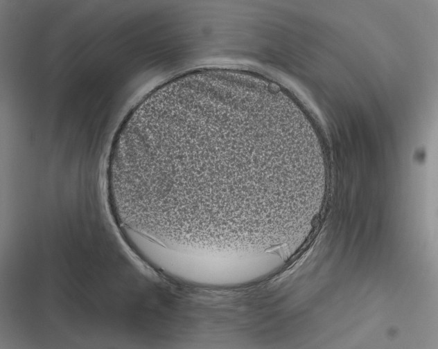 X0000116811237201001081348