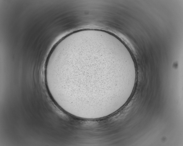 X0000116811238201001081348