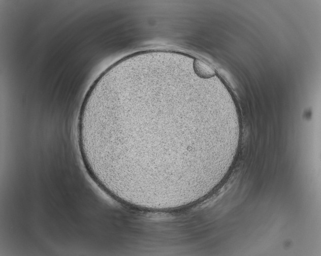 X0000116811239201001081348