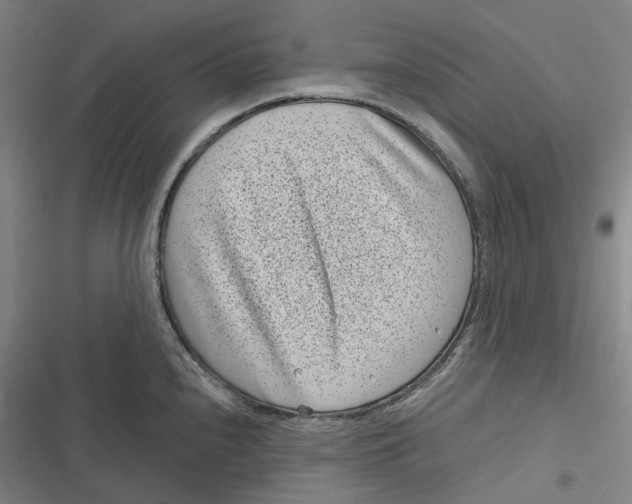 X0000116811240201001081348