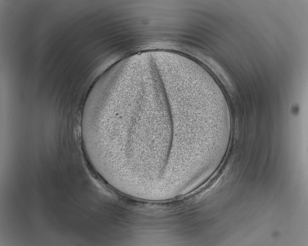 X0000116811241201001081349