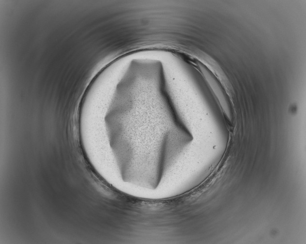 X0000116811242201001081349