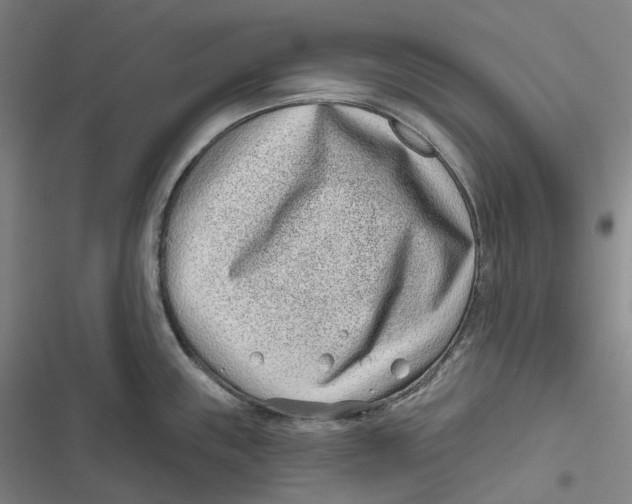 X0000116811243201001081349