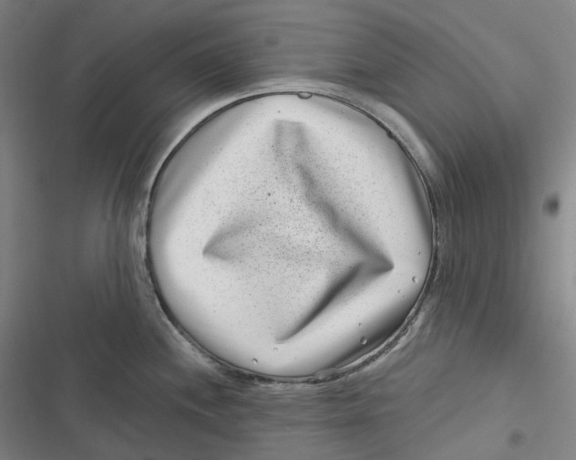 X0000116811244201001081349