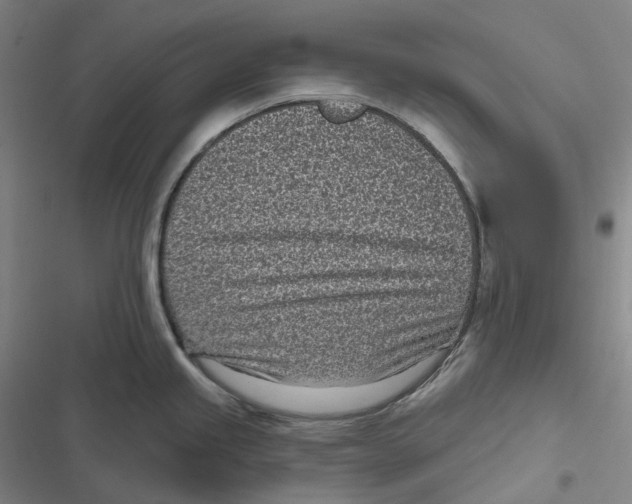 X0000116811245201001081349