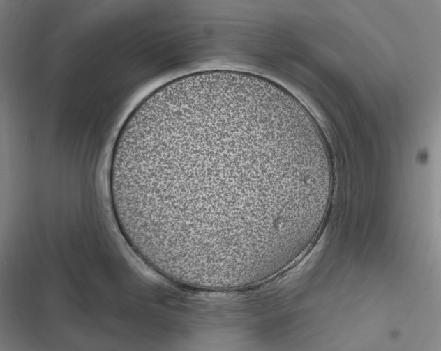 X0000116811246201001081349