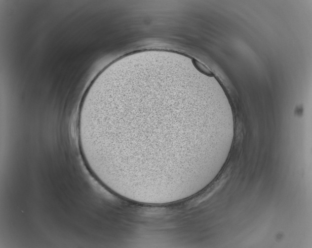 X0000116811247201001081349