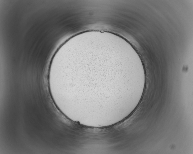 X0000116811248201001081349