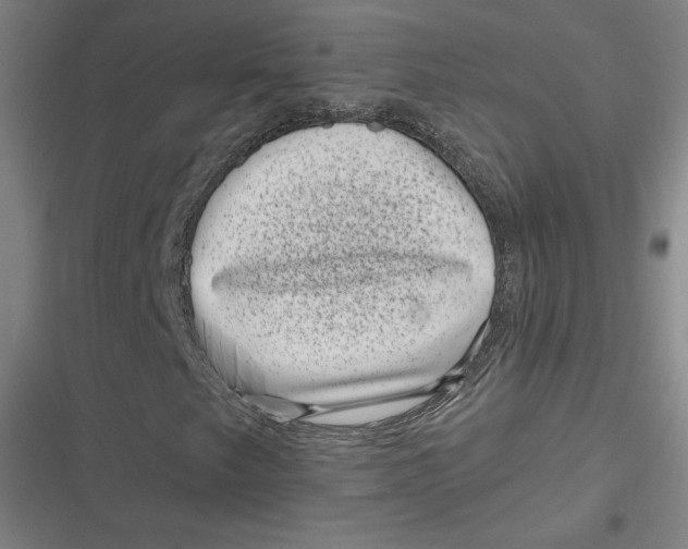 X0000116811249201001081348