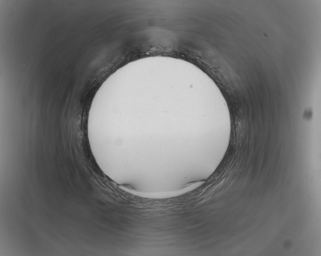 X0000116811250201001081348