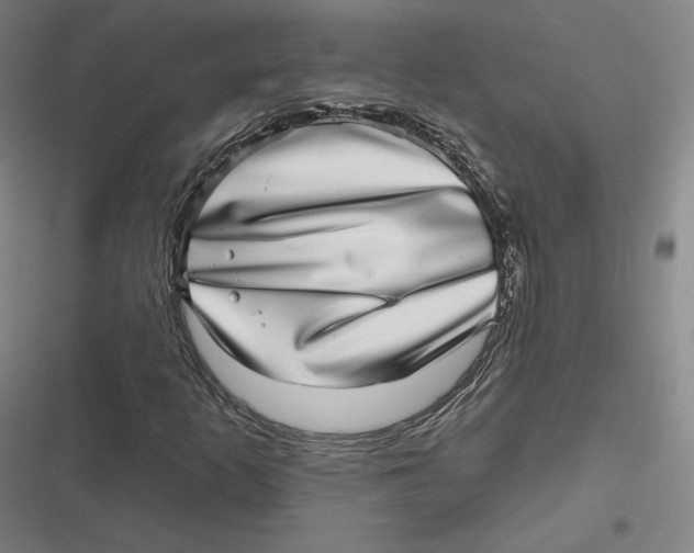 X0000116811253201001081348