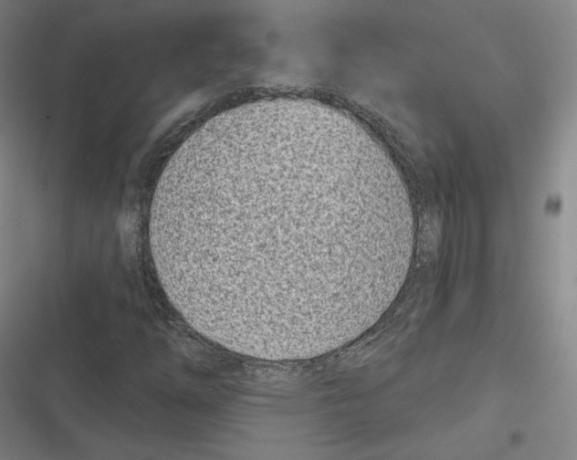 X0000116811254201001081348