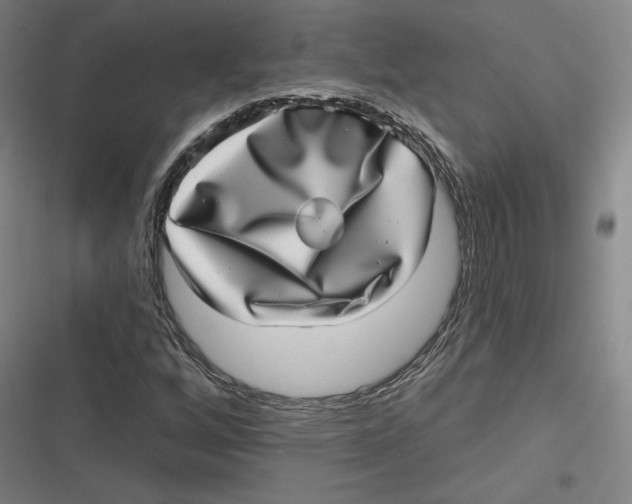 X0000116811256201001081348