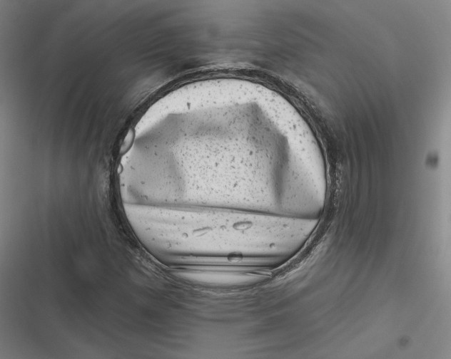 X0000116811257201001081348