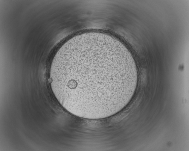 X0000116811258201001081348