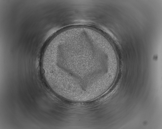 X0000116811259201001081348