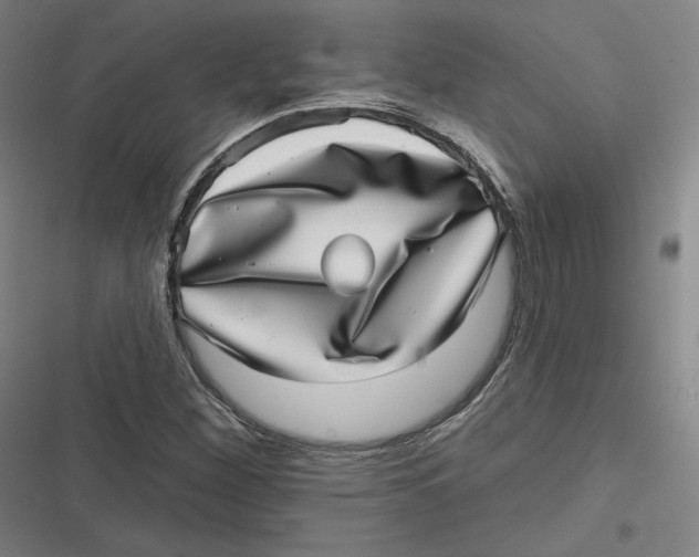 X0000116811260201001081348