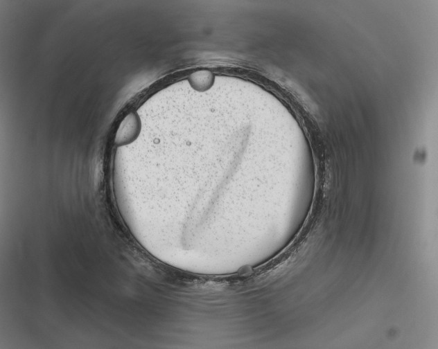 X0000116811261201001081348